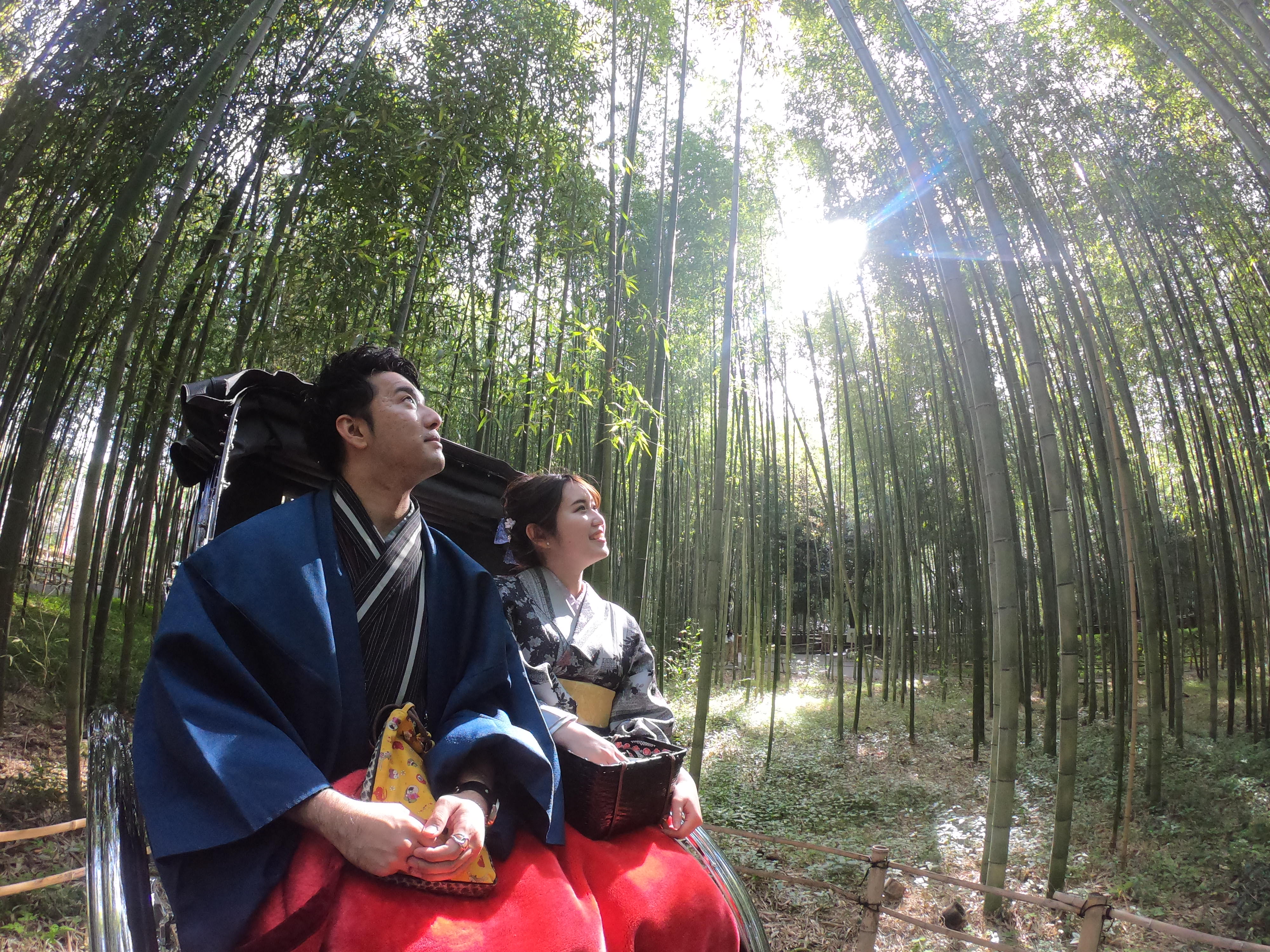 東福寺で史上初の青もみじライトアップ開催!!